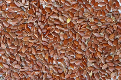 flaxseed for constipation