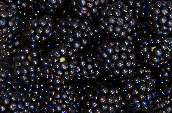 Blackberries