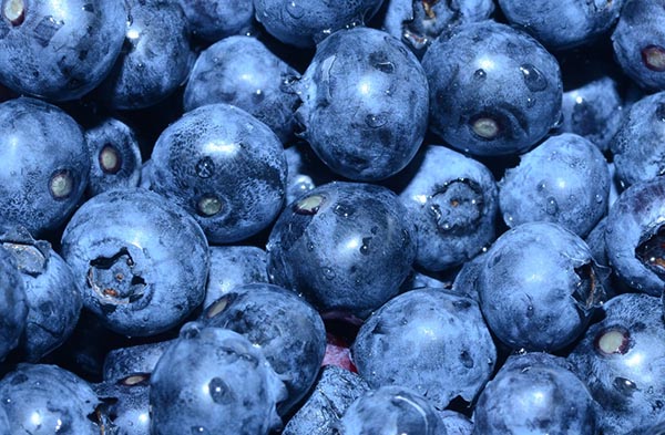 Blueberries