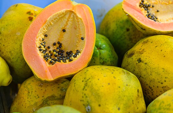 Papaya health benefits